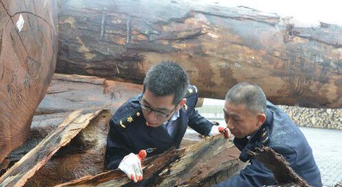 4月以來江蘇鎮(zhèn)江新民洲碼頭大量進(jìn)口木材