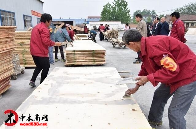 宿州埇橋區(qū)壯大家居板材業(yè) 獲中國楊木產(chǎn)業(yè)示范區(qū)