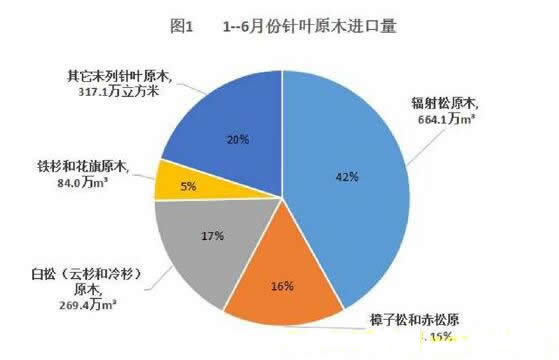 我國針葉材原木進口前三強：輻射松、白松和樟子松