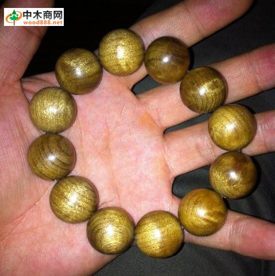 金絲楠金絲