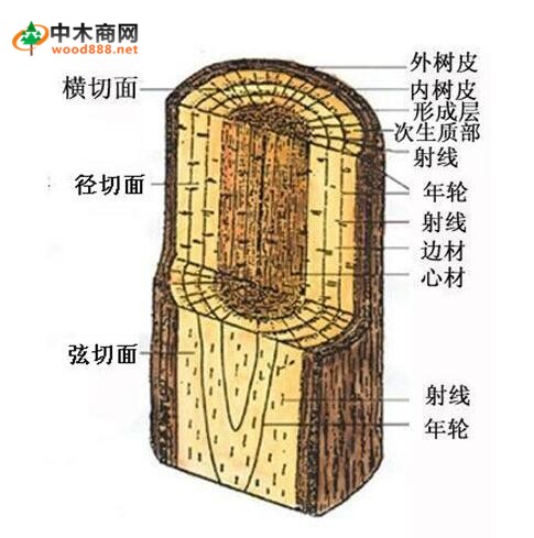 木材的基本含義