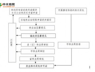 自己砍伐木材，運輸：請問需要辦手續嘛，要辦哪些手續?好不好辦?