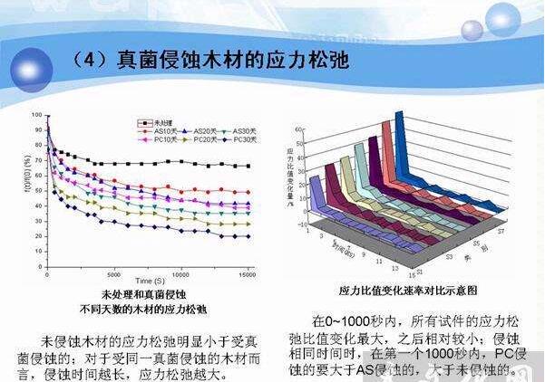 木材細胞壁上的結構特征——紋孔