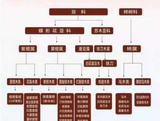 問問印度產的小葉紫檀算是印度紫檀的一種么？有沒有網友曉得？