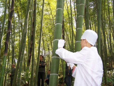 竹筒酒廠家知識 竹筒酒知識關于酒的這些誤區(qū)