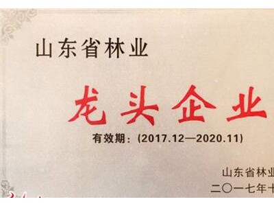 山東省15家企業(yè)被認(rèn)定為國家林業(yè)重點龍頭企業(yè)