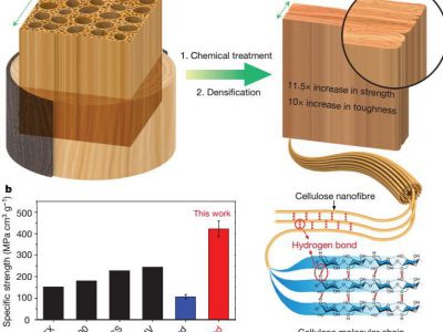新技術可以使木材像鋼鐵一樣堅固