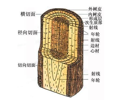 木材強(qiáng)度圖片