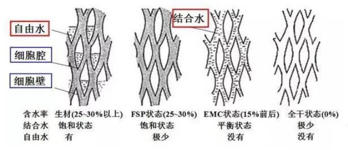 纖維飽和點