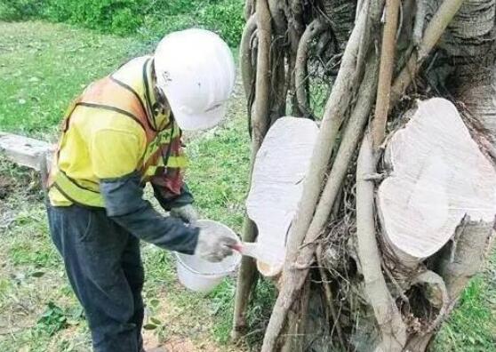 一般的傷口用油漆直接涂抹一遍即可