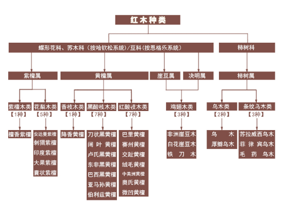 雞翅木屬于紅木嗎？