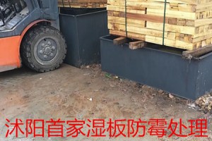 泗陽木材加工廠家直銷楊木板枋材