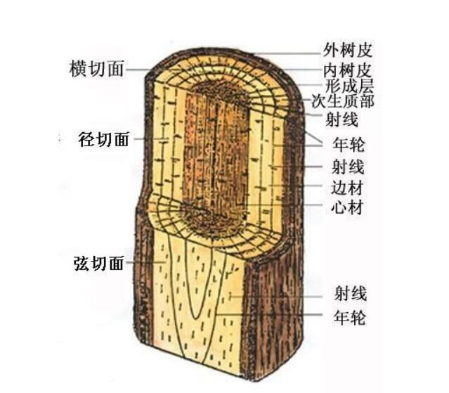 紅木家具中有白皮的存在，還算是紅木家具嗎？