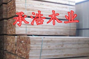 臨沂建筑工地木方供應批發