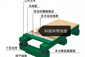 體育地板、運動實木地板