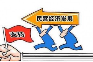 解讀：支持民營企業(yè) 稅務(wù)大招來了