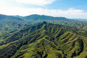 黃土高原地區成為全國連片增綠幅度最大地區