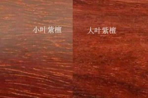 紅木中的黑酸枝和紅酸枝哪個好？