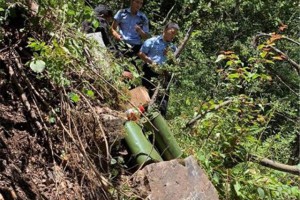 四川森警正巡山……這倆人竟然盜伐鵝掌木