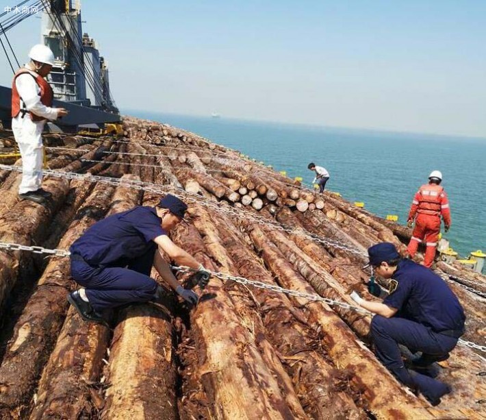 曹妃甸建成華北比較大木材專業碼頭