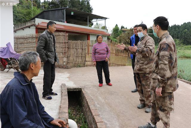 青花椒樹里彰顯濃濃愛民情,雁江區人武部打通扶貧“比較后一公里”廠家