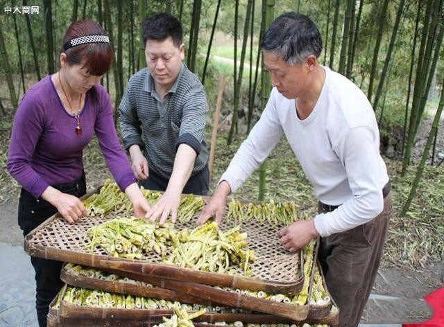 新鮮小竹筍保存方法三