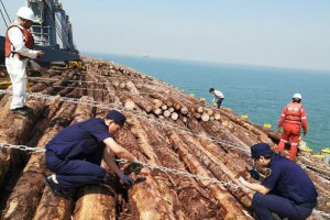 5.14萬噸進口原木從曹妃甸海關順利通關